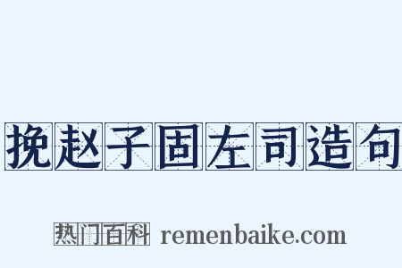 挽赵子固左司造句是什么意思的图片